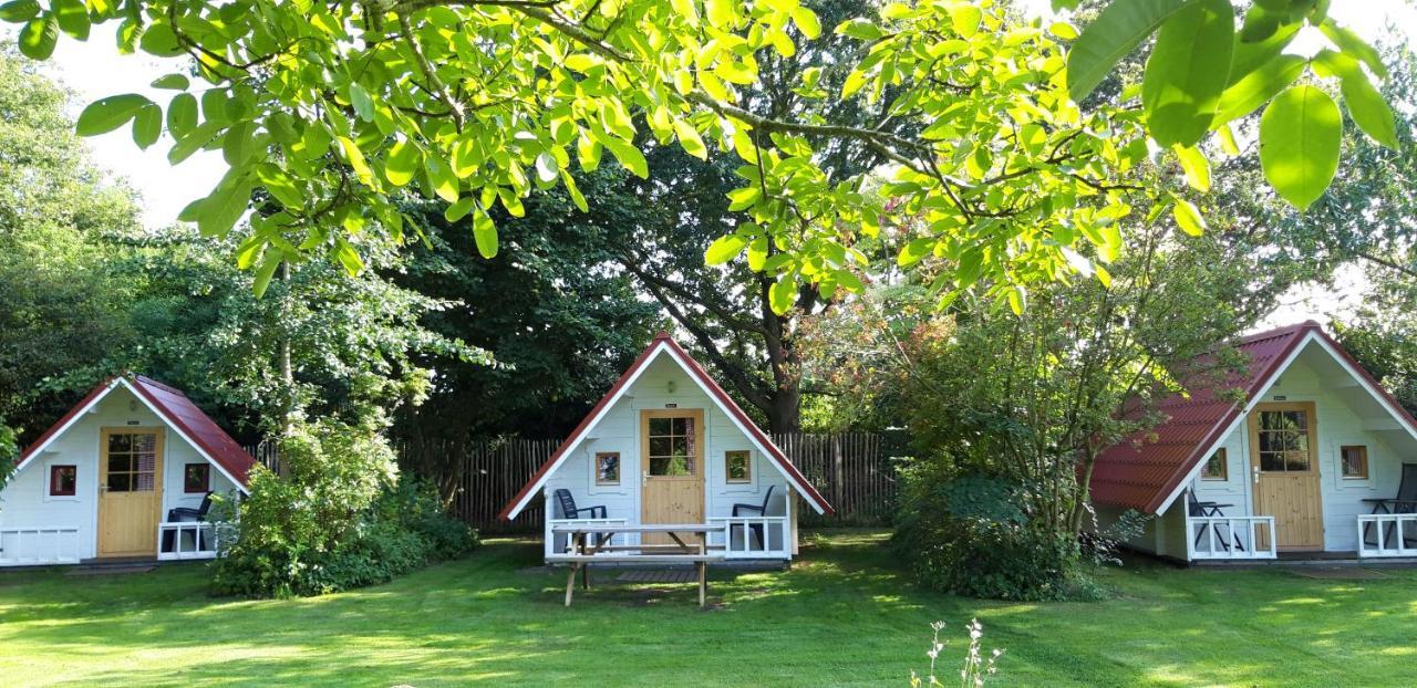 Slaaphuisjes Op Wielen Buitenwedde Westerwolde Campsite Wedde