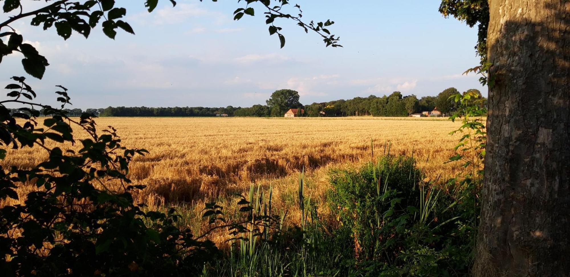 Slaaphuisjes Op Wielen Buitenwedde Westerwolde Wedde